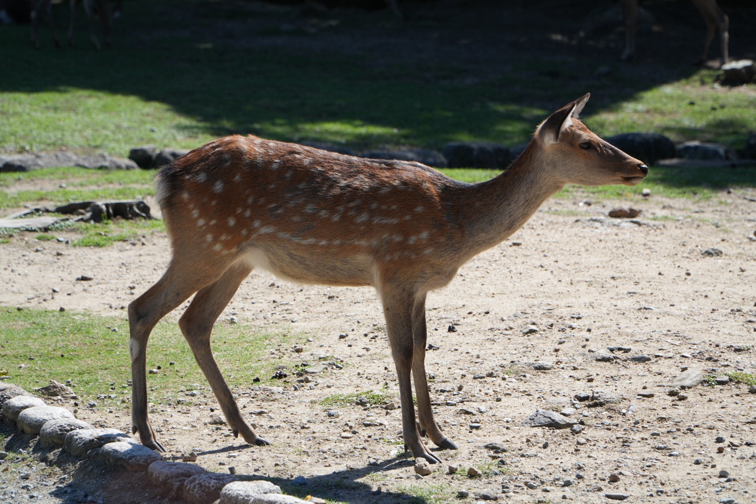 placeholder image sq