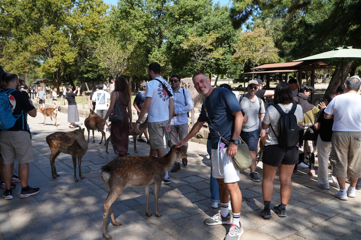 placeholder image sq